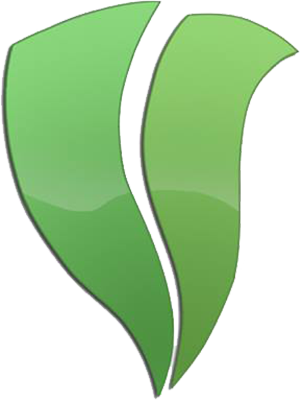 Logo de la startup vairified